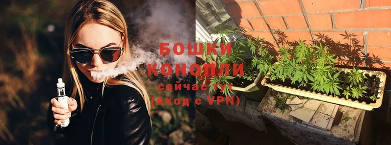 где можно купить наркотик  Чкаловск  Конопля OG Kush 